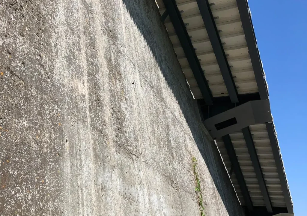 c2486f4a-bab3-47c0-9084-e4044e07ab4d (2)